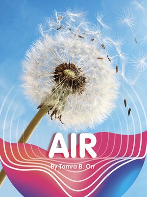 cover image of Air